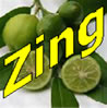 ZING BECH Logo